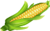 imagen maíz
